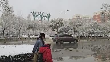 下雪天路上行人120帧升格视频的预览图